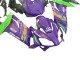 Carénages Moto Aprilia RS125 2006-2011 - Violet Vert Rouge