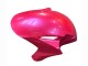 Carénages Moto Honda CBR1000RR 2004-2005 - Rose Noir Brillant