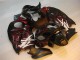 Noir Rouge Flamme 96-07 Suzuki GSXR 1300 Hayabusa Carénage Moto Noir Rouge Flamme 96-07 Suzuki GSXR 1300 Hayabusa Carénage Moto