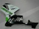 Vert 05-06 Honda CBR600RR Carénage Moto Vert 05-06 Honda CBR600RR Carénage Moto