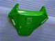 Vert 06-07 Honda CBR1000RR Carénage Moto Vert 06-07 Honda CBR1000RR Carénage Moto