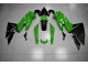 Vert Noir 09-11 Kawasaki EX650 Carénages Moto Vert Noir 09-11 Kawasaki EX650 Carénages Moto